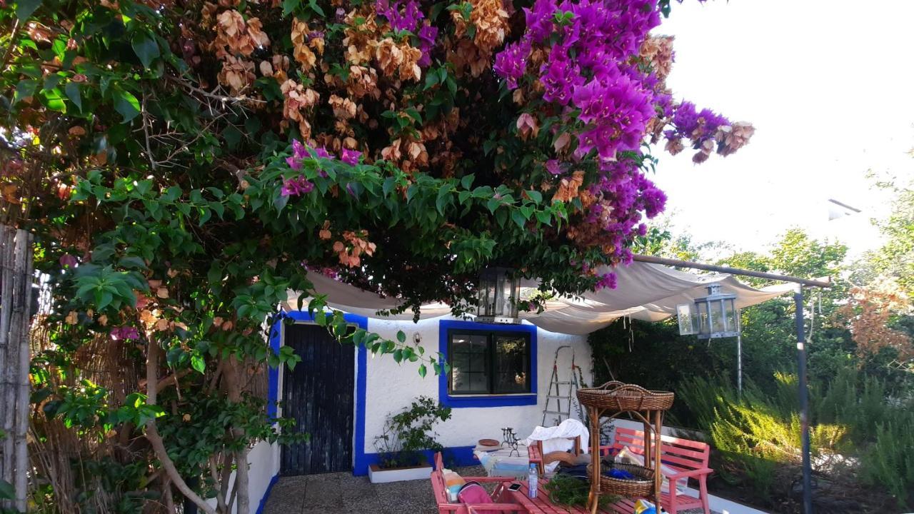 Vila Casa Con Sierra Y Con Portugal Rosal de la Frontera Exteriér fotografie